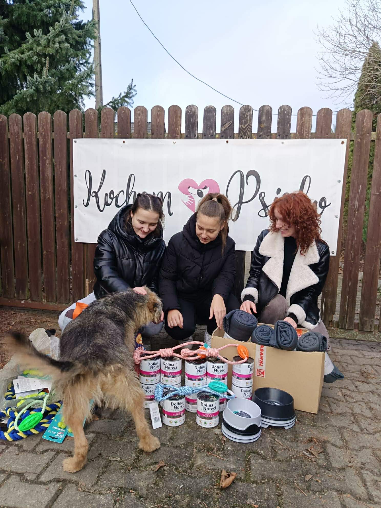 Trzy kobiety siedzą na zewnątrz przed ogrodzeniem i uśmiechają się do psa. Przed nimi leżą puszki karmy, smycze, miski i koce przygotowane jako dary dla zwierząt.