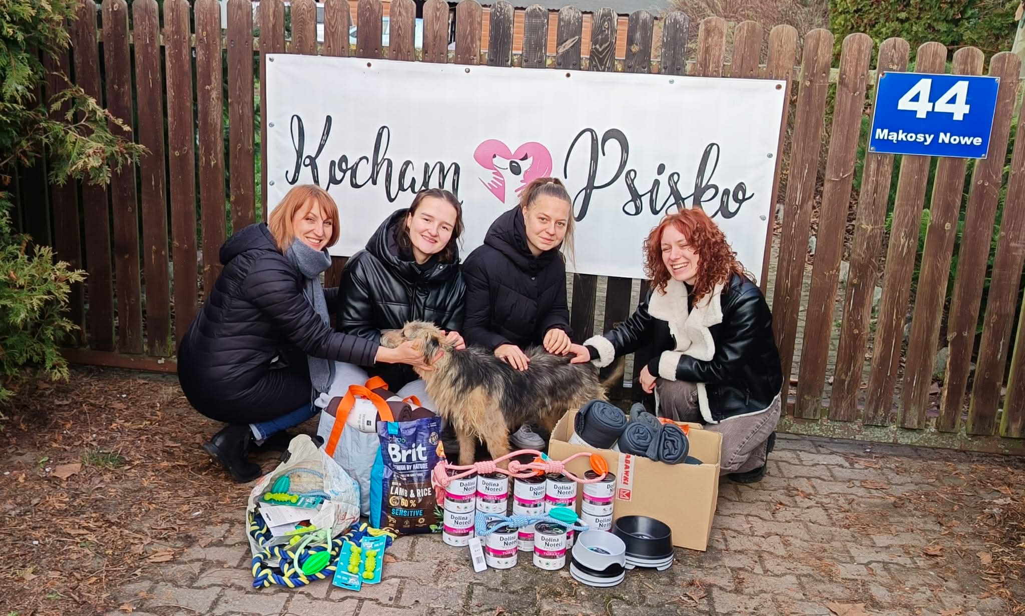 Cztery kobiety kucają przed ogrodzeniem i głaszczą psa. Przed nimi stoją torby i kartony z karmą oraz akcesoriami przekazanymi na rzecz schroniska.